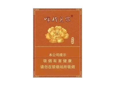 呼伦贝尔(天之韵)