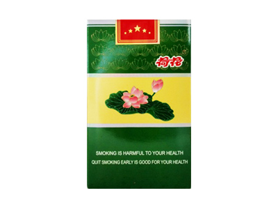 中南海(京憶)